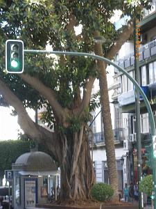 5 almeria 2 (7)